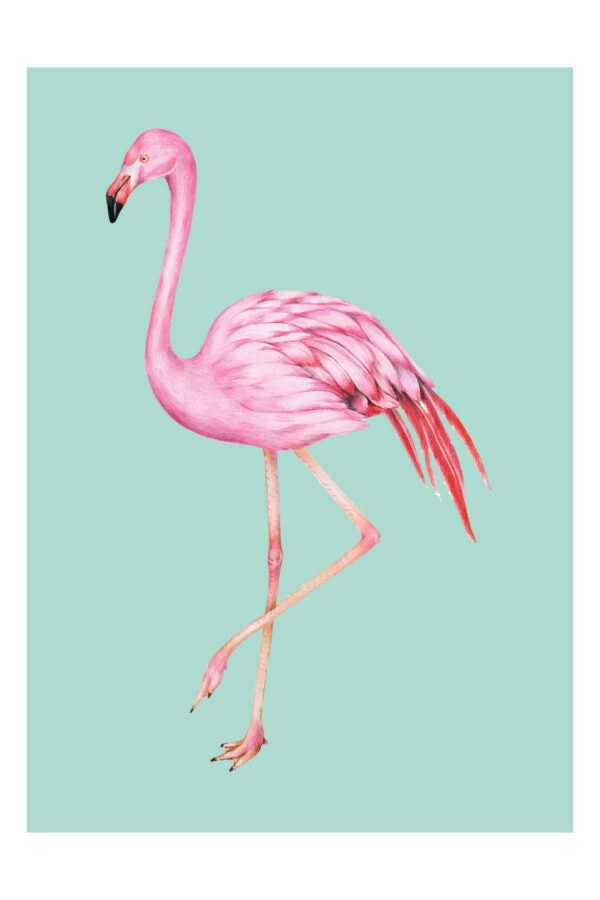 Rožinis flamingas - Paveikslas ant aliuminio