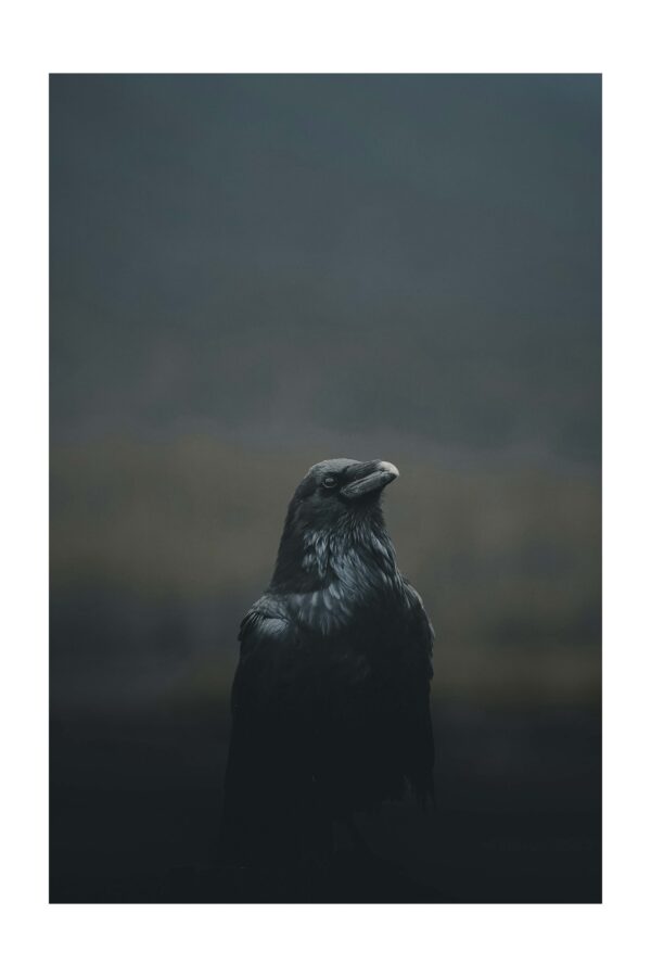 Varna pranašė - Paveikslas ant aliuminio