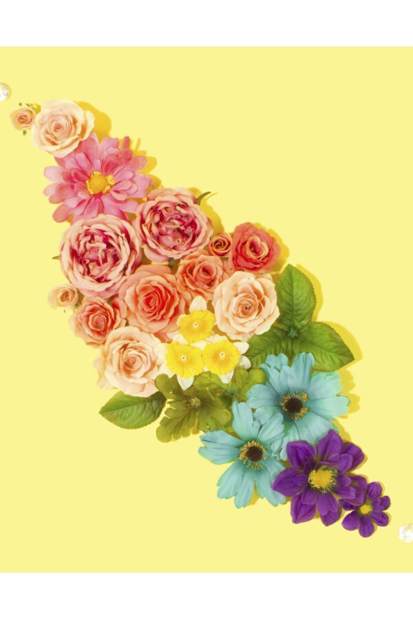 Rainbow flowers iliustracija - Paveikslas ant aliuminio