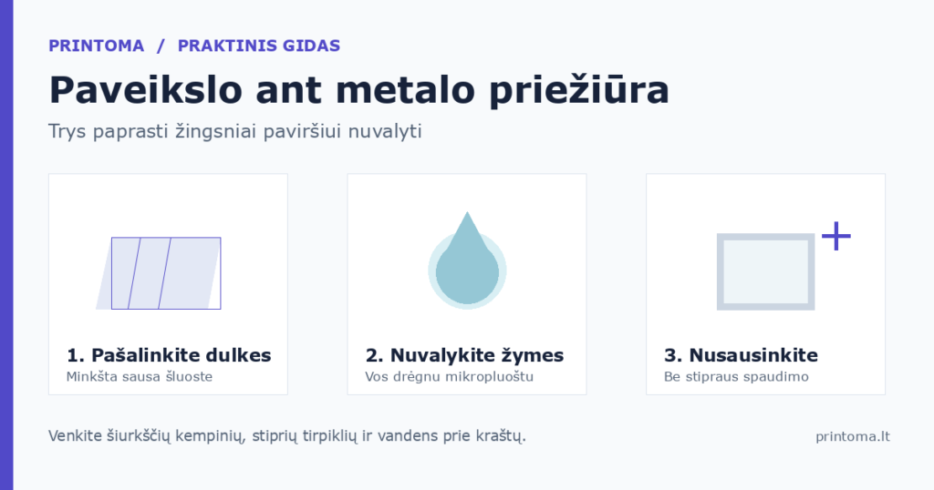 Paveikslo ant metalo priežiūra: dulkės, švelnus valymas ir nusausinimas