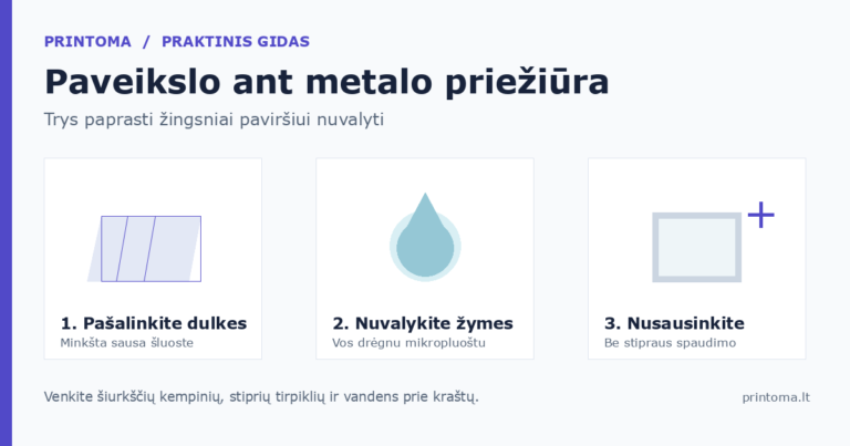 Paveikslo ant metalo priežiūra: dulkės, švelnus valymas ir nusausinimas